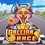 Gallina Race